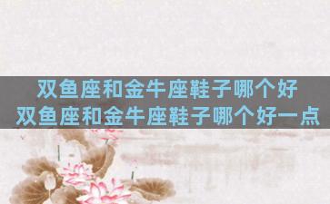 双鱼座和金牛座鞋子哪个好 双鱼座和金牛座鞋子哪个好一点